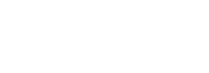 Nall Building and Repair, LLC logo white